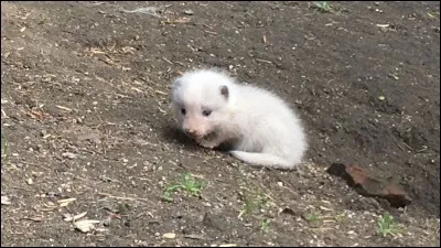Brrr, on se les gèle ici !