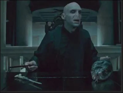 Dans quelle saga peut-on les voir ?