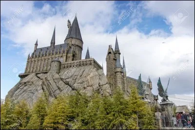 Dans le tome 4 de Harry Potter, "La Coupe de feu", Hagrid tombe amoureux d'une femme. Laquelle ?