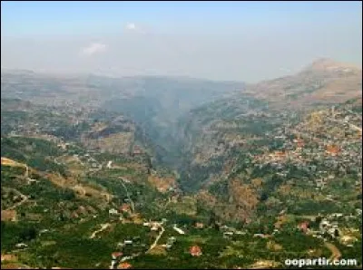 Quels sont les deux pays frontaliers du Liban ?