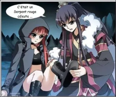 Qu'a fait Zhang Ye quand il a vu la morsure du serpent rouge c&eacute;leste sur Xi Tian ?