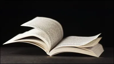 Quel objet Dumbledore lègue-t-il à Ron ?