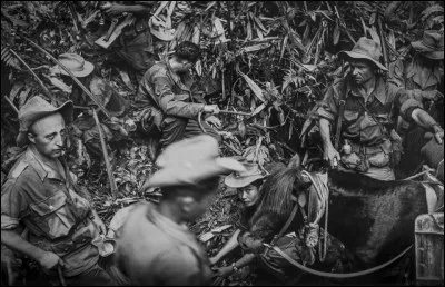 Cette violente bataille opposa le corps expéditionnaire français à l'essentiel des troupes vietnamiennes et se déroula dans le nord du Viet Nam actuel. Elle accéléra les négociations engagées à Genève pour le règlement du conflit. 
Quelle fut cette défaite française qui fut le dernier affrontement majeur de cette étape de la guerre d'Indochine ?