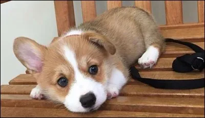 Quelle est ta réaction ?