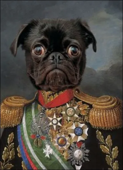 Quel roi actuel a élevé son chien décédé au rang de Maréchal en chef des forces aériennes ?