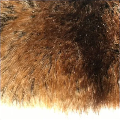 Tes poils seraient :