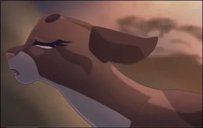 Qui est mort dans le feu ?