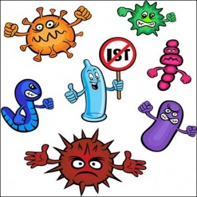 Combien existe-t-il d'I.ST. ?