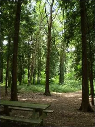 Quel animal préfères-tu ?