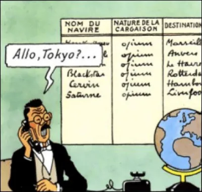 Quel est son relationnel avec Tintin ?