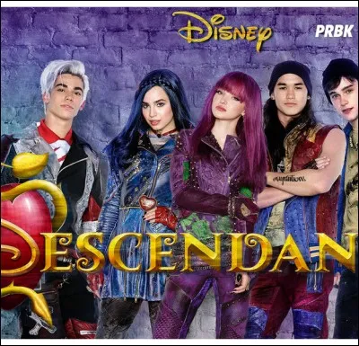 Qui es-tu dans ce groupe ?