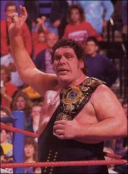 Comment s'appelle ce catcheur?