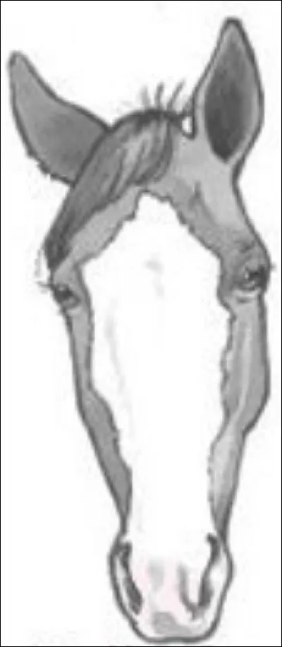 Quel est le nom de cette liste ?