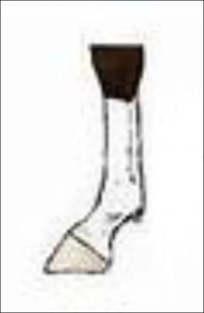 Quel est le nom de cette balzane ?