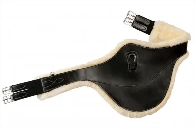 À quoi sert la bavette ?