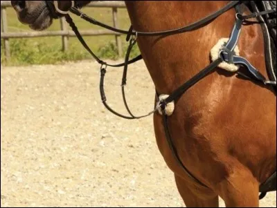 À quoi sert un collier de chasse ?