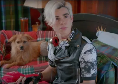 Comment s'appelle le chien de Carlos ?