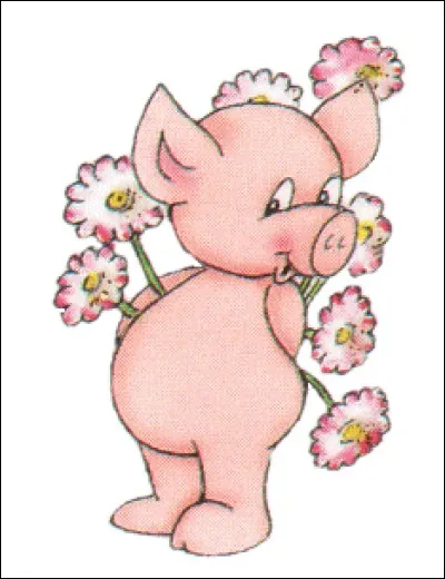 De quoi le cochon d'Inde tient-il son nom ?