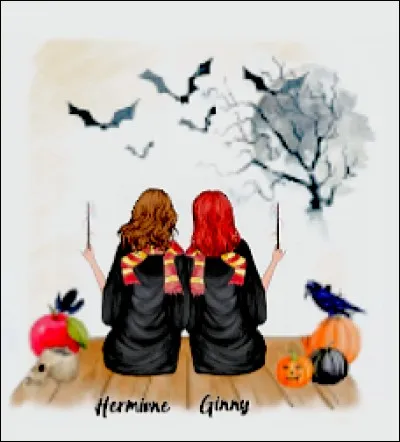 À leur arrivée à Poudlard, Harry et ses camarades de 1ère année assistent à/au...