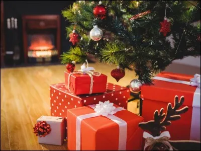 Quel cadeau de Noël, Ron reçoit-il de la part de sa mère ?