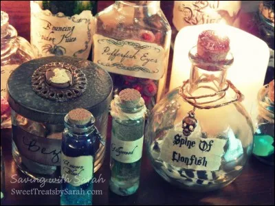 Qui est le professeur de potions à Poudlard ?