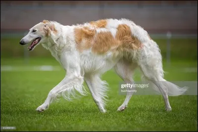 Sauras-tu me retrouver ?