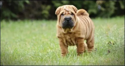 Allez, retrouve-moi !