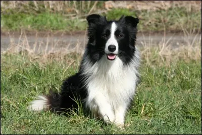 Bonjour ! Sais-tu qui je suis ?