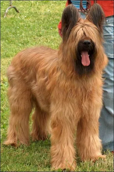 Je suis stylé, non ? Allez, retrouve-moi !