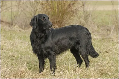 As-tu la bonne réponse pour moi ?