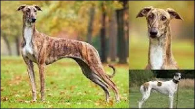 Où suis-je parmi les propositions ?