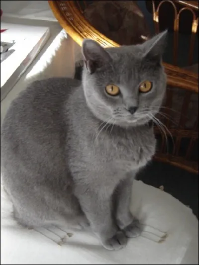 Et moi ? As-tu la (bonne) réponse ?