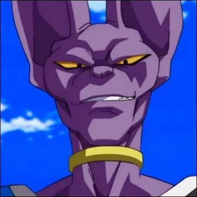 Beerus débarque.