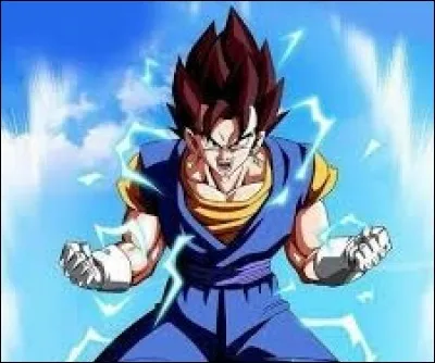 Votre partenaire de fusion idéal est...