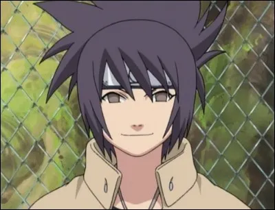 Quel est le met favori d'Anko Mitarashi ?