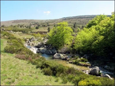 Dans quel département trouve-t-on les sources à la fois de l'Allier, du Lot et du Tarn ?