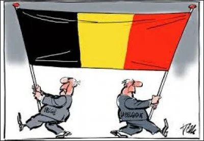 Les électeurs flamands votent plutôt à gauche !