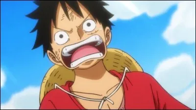 Dans le manga One piece, qui est le premier membre de l'équipage que Luffy au chapeau de paille a recruté ?