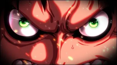 Dans One Piece, qui est le membre de l'équipage qui est un cyborg (moitié robot moitié humain) ?