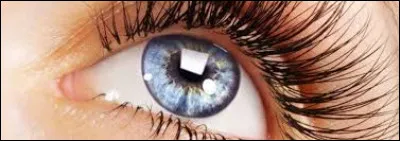 Comment appelle-t-on le blanc de l'il humain ?