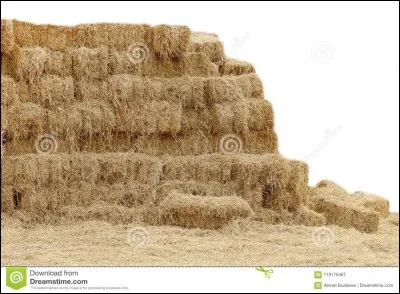 Quelle émission de téléréalité met en relation des agriculteurs célibataires avec des téléspectatrices ?