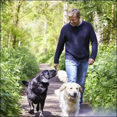 Tu es à la maison...