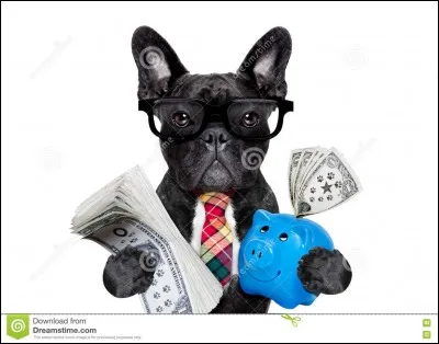 Pour terminer, combien d'argent serais-tu prêt à mettre pour ton chien ?