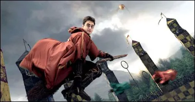 Laquelle de ces manoeuvres de Quidditch n'est pas une erreur ?