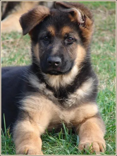 Et moi ? Tu me reconnais ?