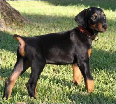 Peux-tu me retrouver parmi ces propositions ?