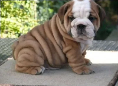 Et moi, sais-tu qui je suis ?