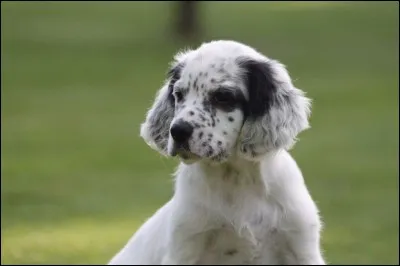 Zut, le quiz se finit ! Allez, terminons-le par une bonne réponse !