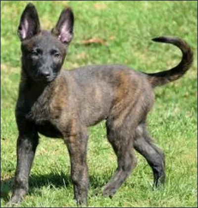 Salut ! Tu me reconnais ?