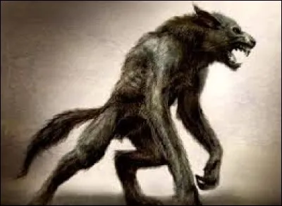 Dans quel univers croise-t-on la route d'un loup-garou nommé Remus Lupin ?